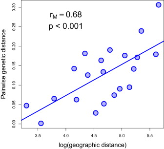 Plot of isolation by distance. Logarithm of pairwise geographic distances along landmasses (measured as travel costs over the friction routes) plotted against pairwise genetic distances (FST) between populations.